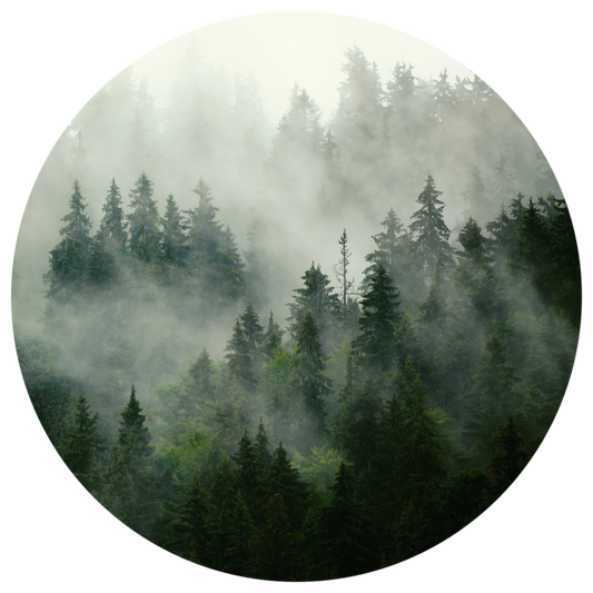 Mist - Wall Dot