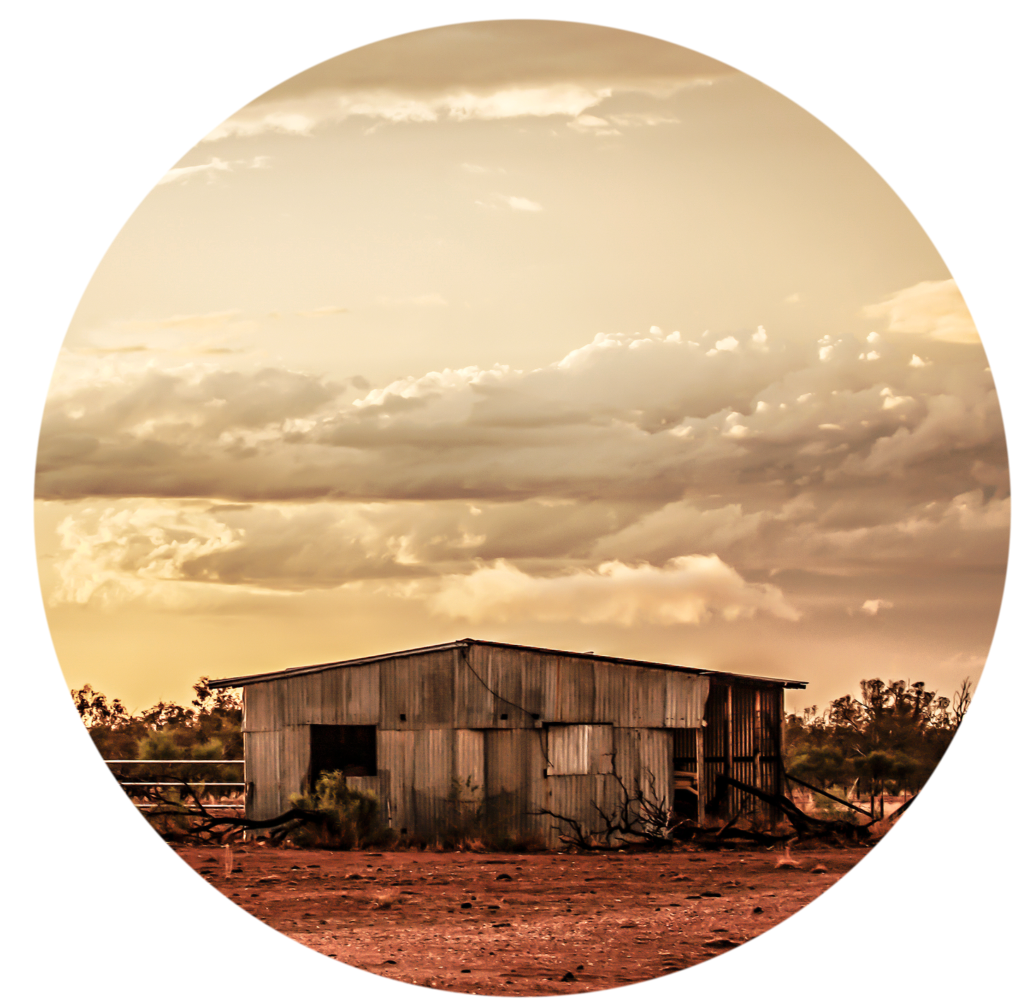 Shed - Wall Dot