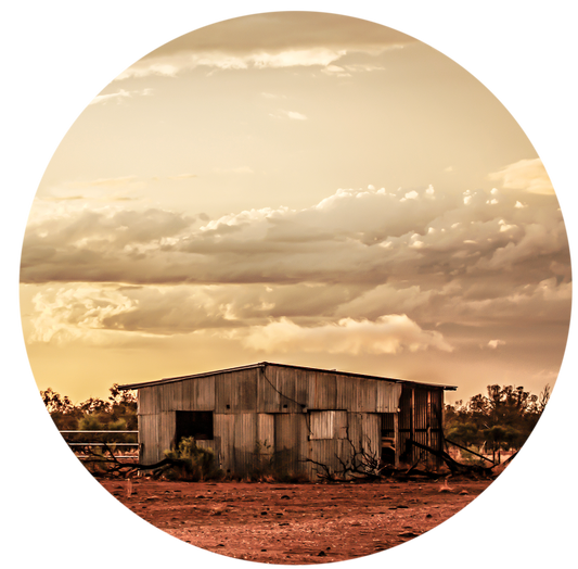 Shed - Wall Dot